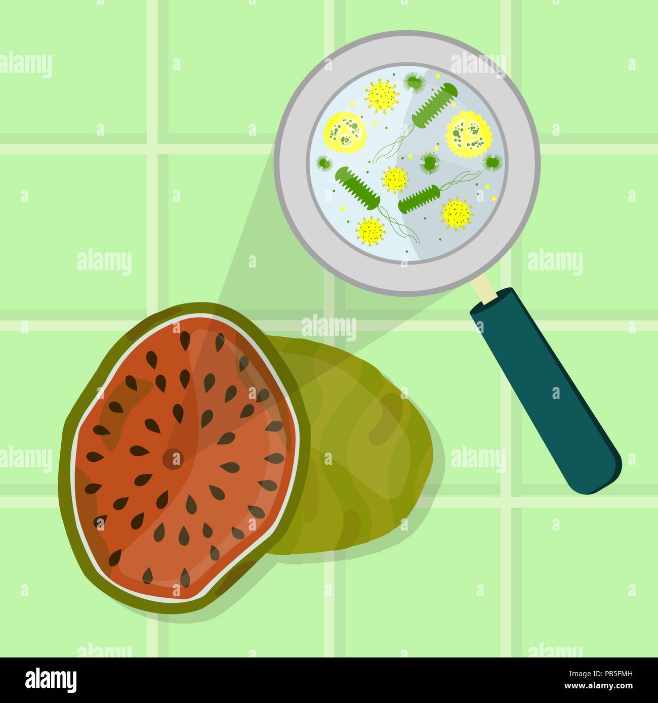 Anguria contaminati. Microrganismi, virus e batteri nel marcio e viziati anguria ingrandita di una lente di ingrandimento. Piastrelle in backgrou Illustrazione Vettoriale
