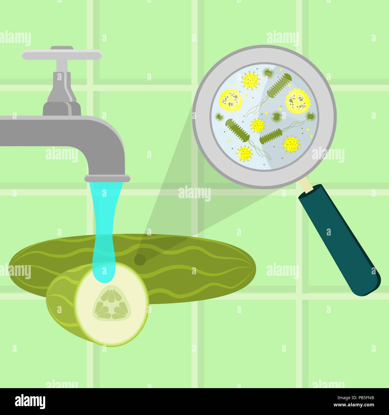 Cetriolo contaminato essendo pulito e lavato in una cucina. Microrganismi, virus e batteri nel vegetale ingrandita di una lente di ingrandimento. Runni Illustrazione Vettoriale