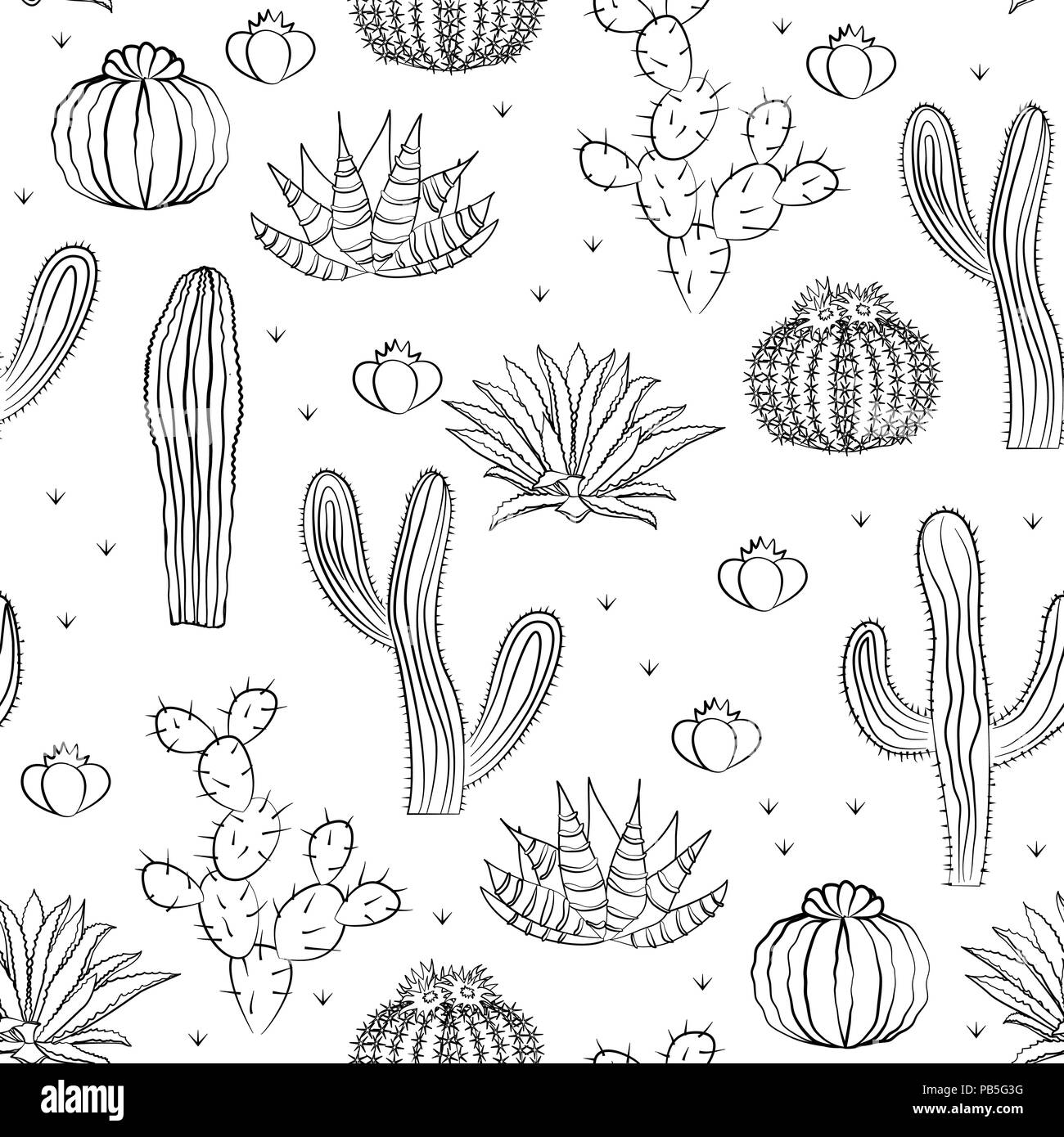 Disegnato a mano ornamento succulenti. Illustrazione Vettoriale. Modello senza cuciture con cactus, agave e opuntia. Illustrazione vettoriale di un cactus isolato su un wh Illustrazione Vettoriale