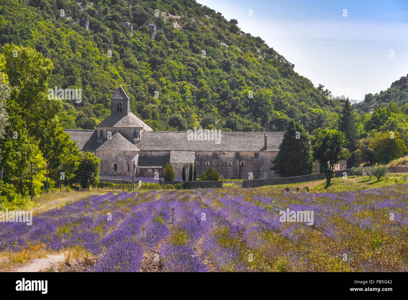 Senanque Abbazia con campo di lavanda, villaggio Gordes, Provenza, Francia, massiccio del Luberon, abbazia medievale dell Ordine Cistercense Foto Stock