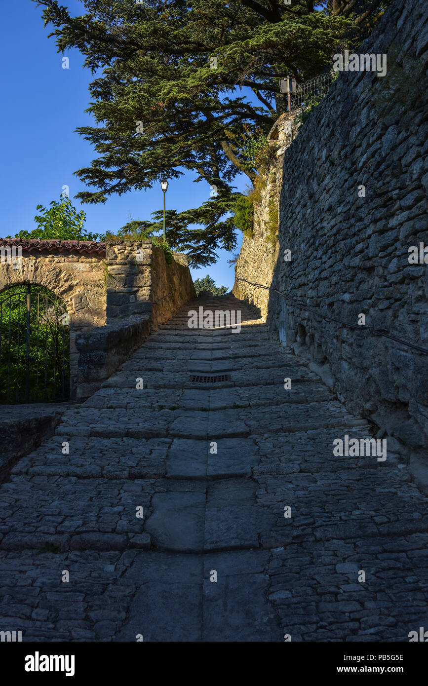 Sentiero in Bonnieux sotto tipici alberi di cedro, Provenza, Francia, massiccio del Luberon, salita alla vecchia chiesa del villaggio, Provence-Alpes-Côte d'Azur Foto Stock