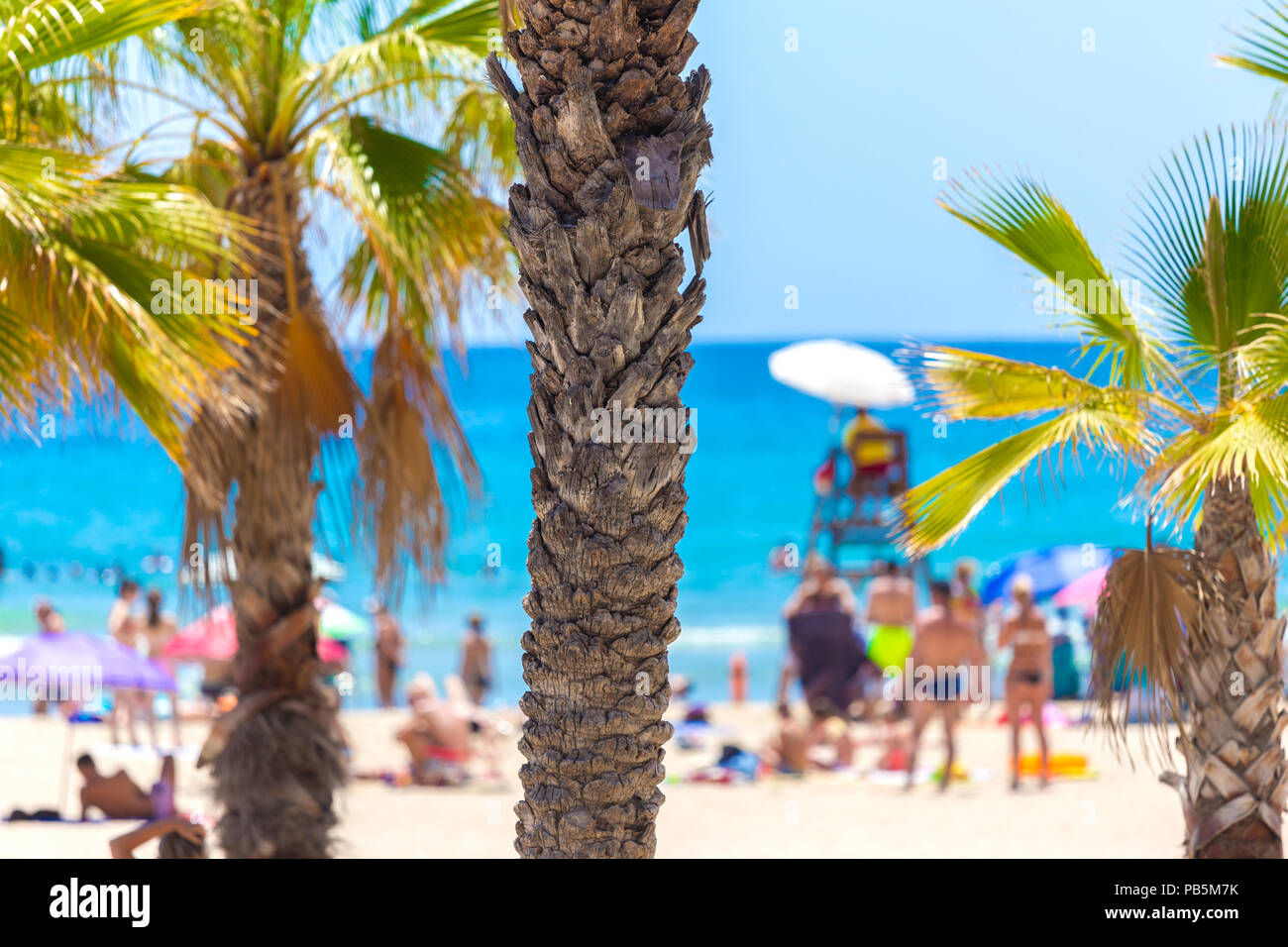 Spiaggia di sabbia e a palm blur sullo sfondo Foto Stock
