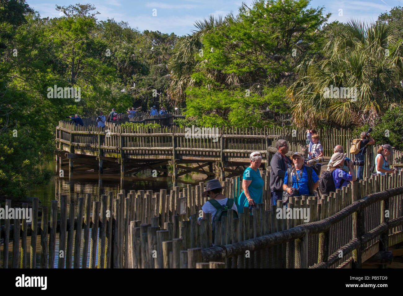 Il Boardwalk nella palude nativo & Bird rookery in Sant'Agostino Alligator Farm Zoological Park a St Augustine Florida Foto Stock
