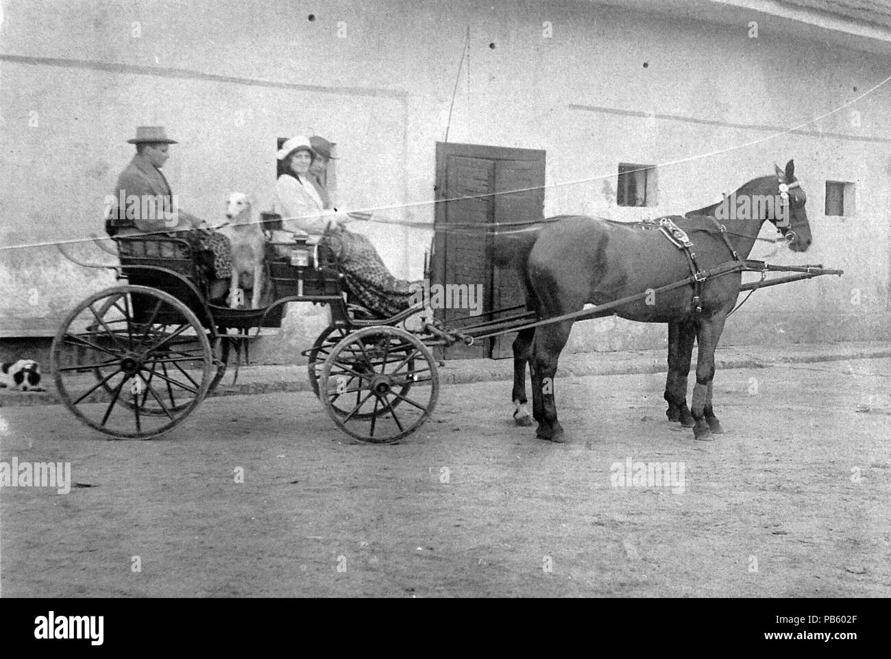 769 carrozza trainata da cavalli, pulmann, trasporto, cortile, uomo, donna, cane Fortepan 2341 Foto Stock