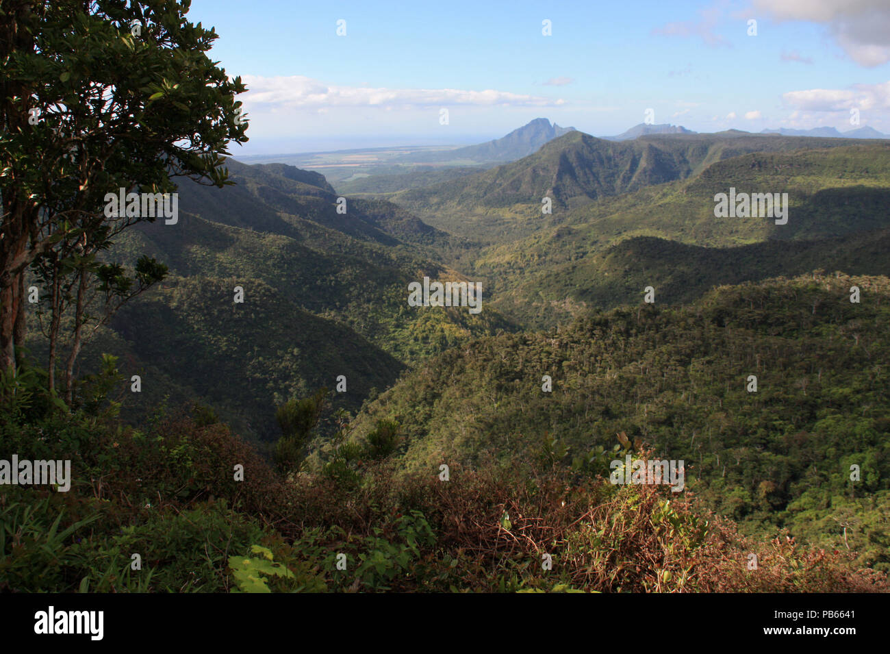 Vista spettacolare da un punto di vista, si affaccia il Black River Gorges National Park, Mauritius, verso nord Foto Stock