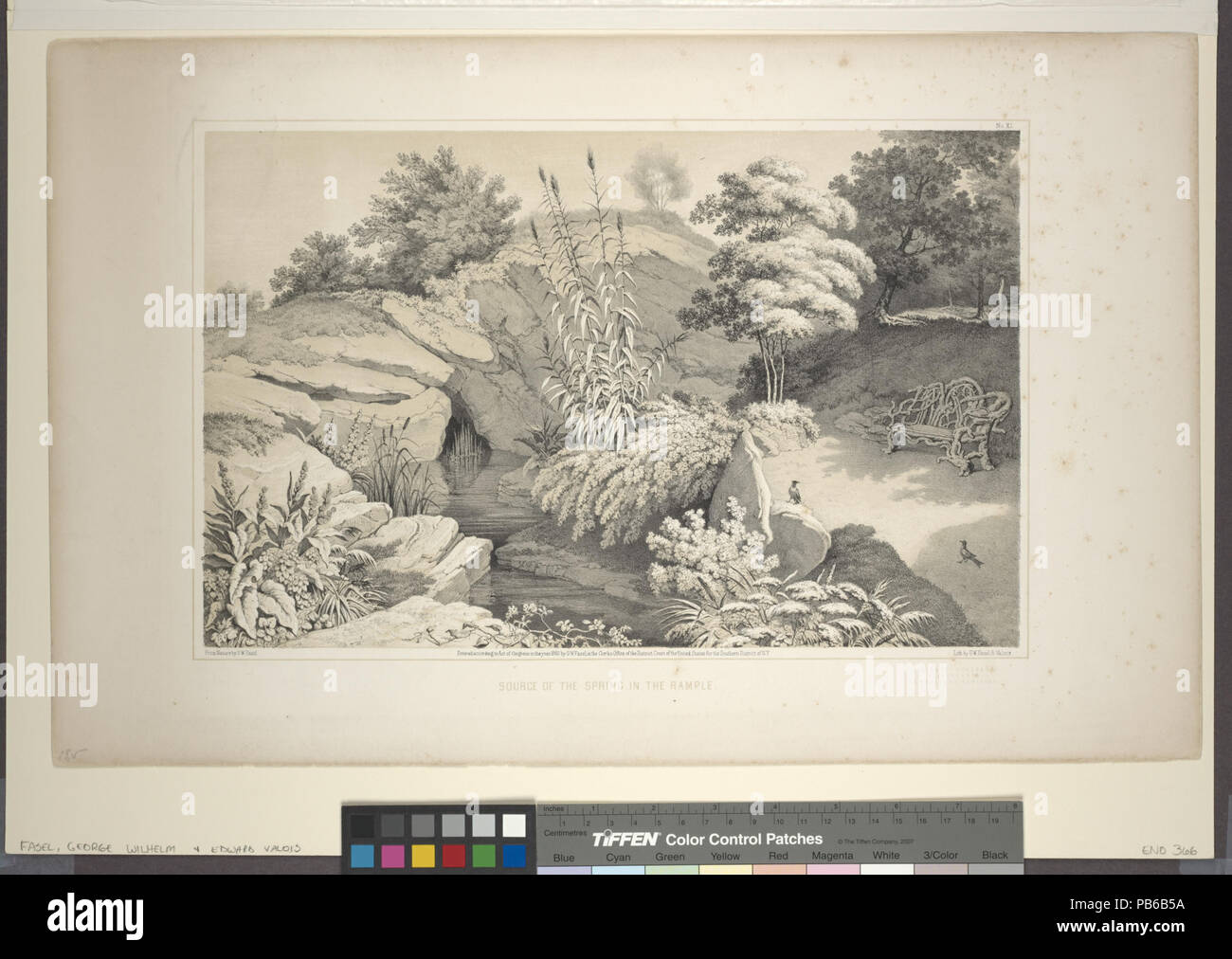 1551 Fonte della molla nel Rample (sic) da Central Park Album, 1862 (NYPL ADE-1804113-1659461) Foto Stock