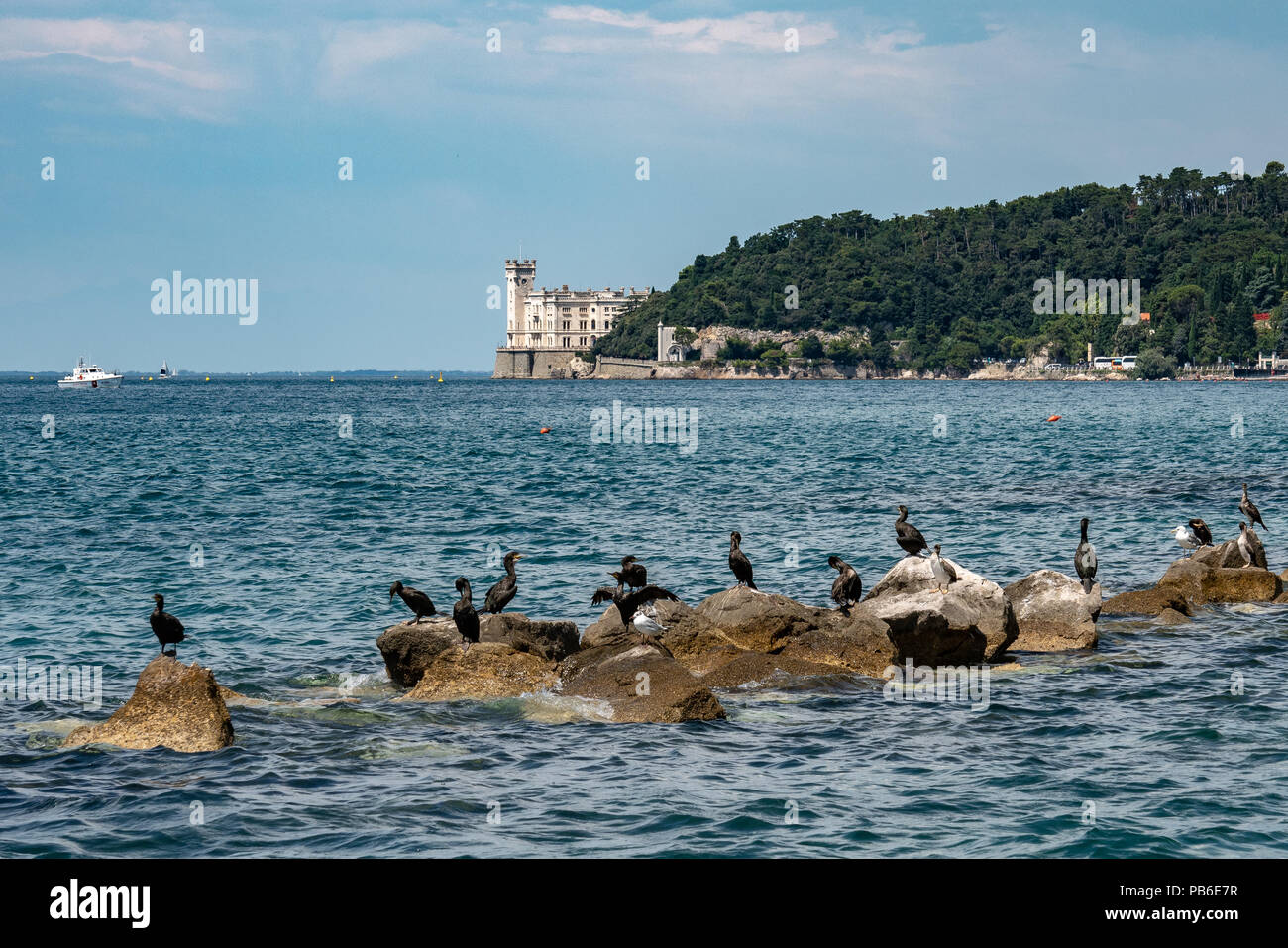 Trieste, 26 luglio 2018. Cormorani e gabbiani pongono sulle rocce al mare Adriatico di fronte al castello di Miramare nella città di porto di Trieste mi Foto Stock