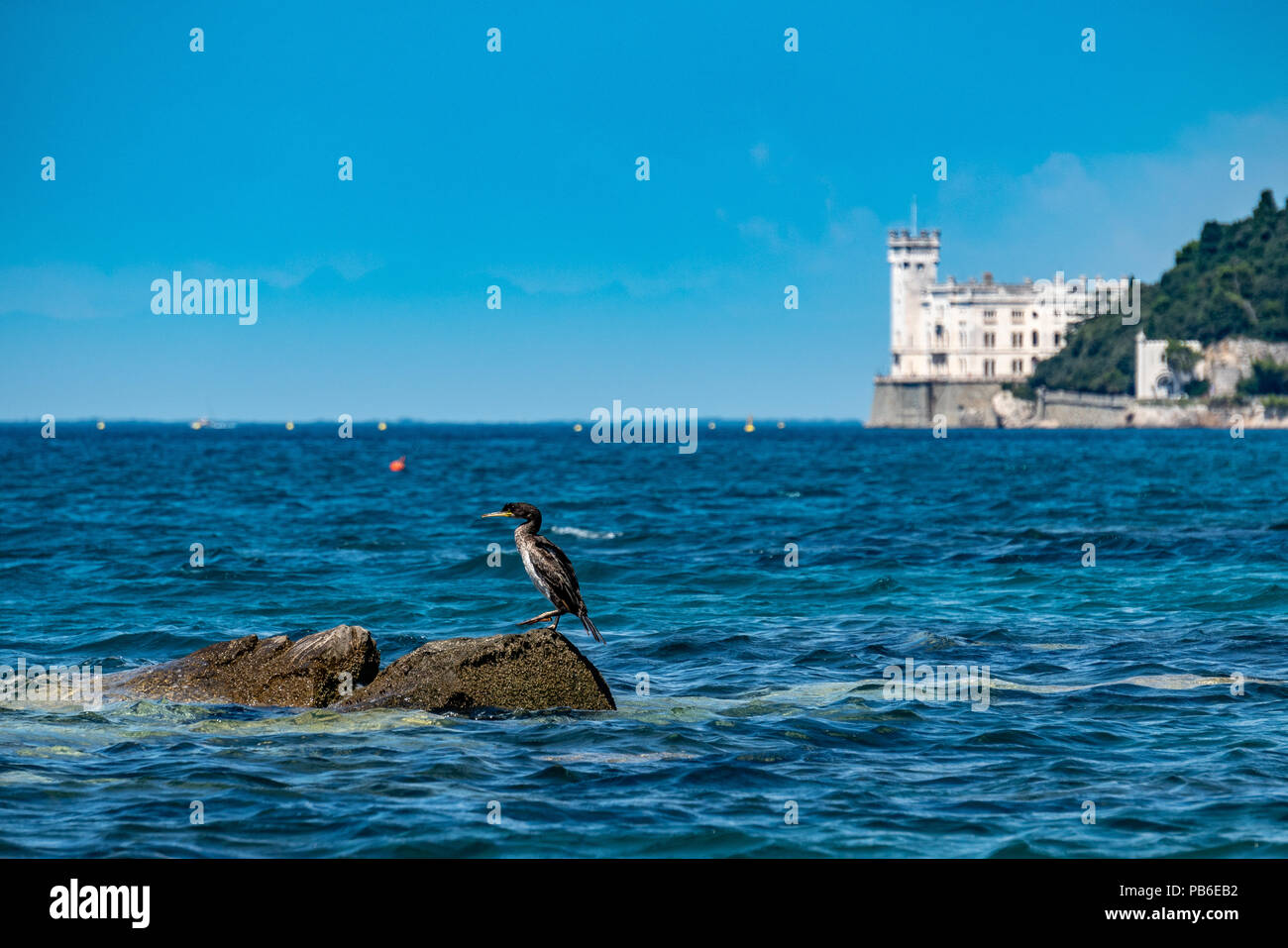Trieste, 26 luglio 2018. Un cormorano pone su una roccia sul mare Adriatico di fronte al castello di Miramare nella città di porto di Trieste nel nord Foto Stock