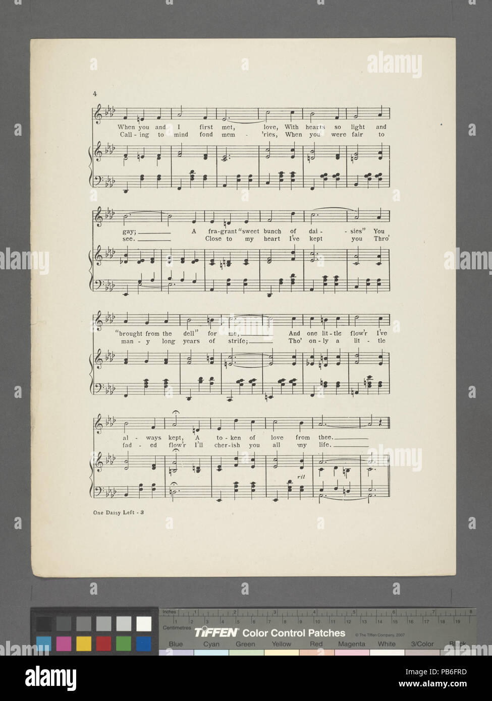1138 una sola sinistra a margherita (NYPL ADE-610312-1812781) Foto Stock