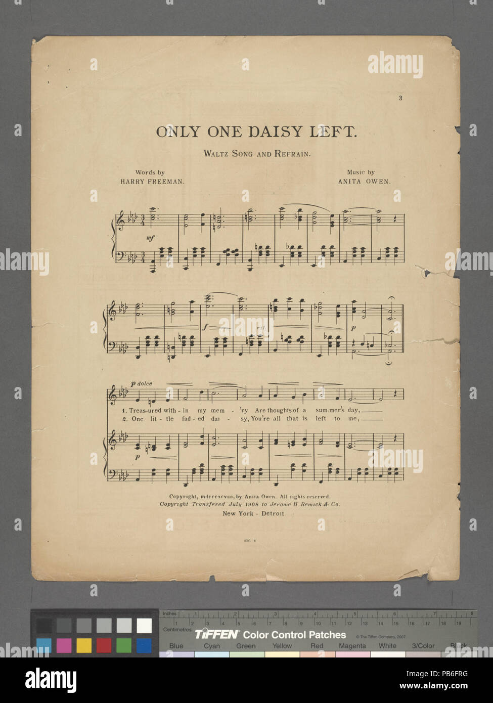 1138 una sola sinistra a margherita (NYPL ADE-610271-1812785) Foto Stock