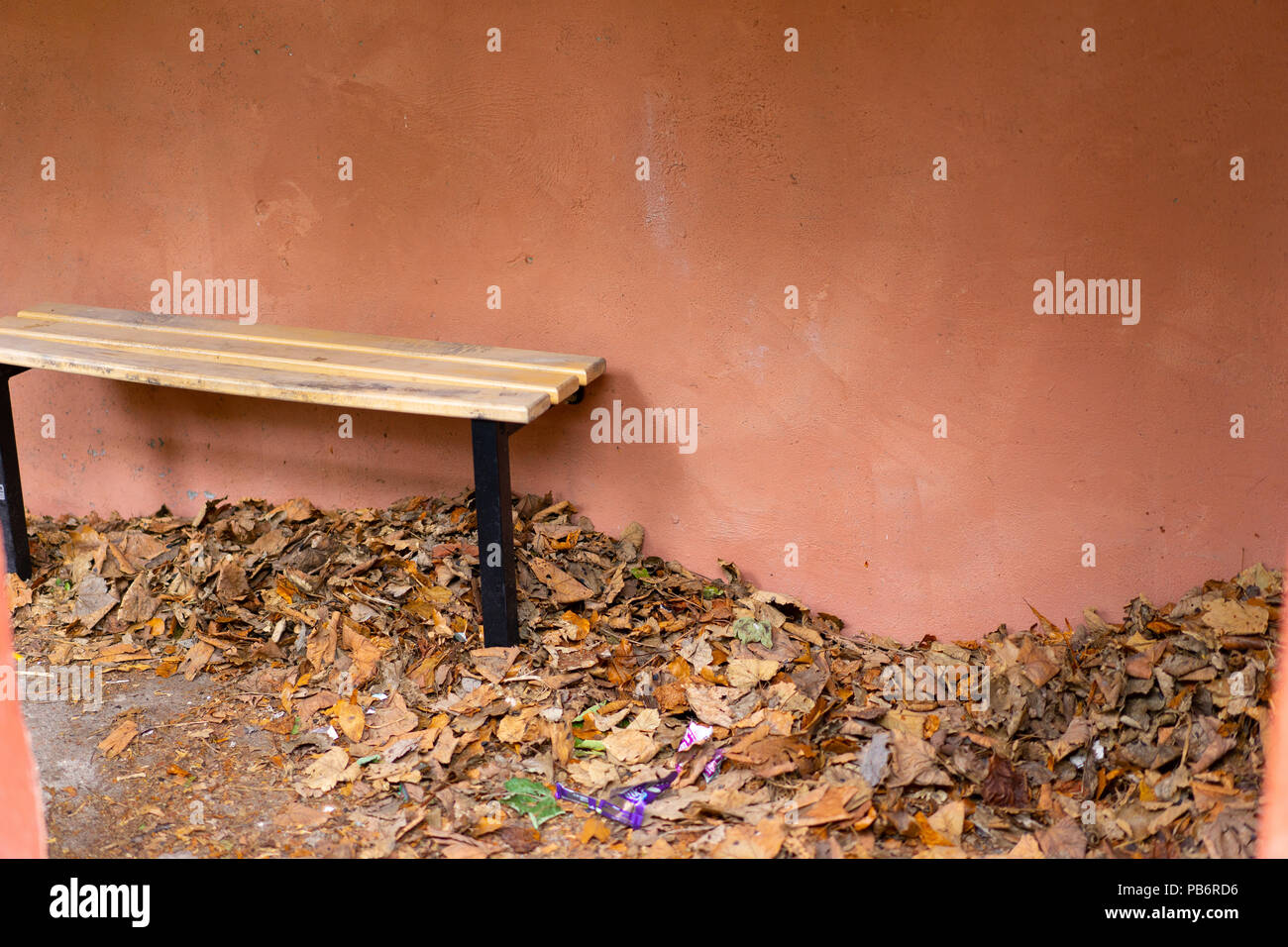 Dead foglie secche bruciato in un bus shelter, Scotland, Regno Unito. Foto Stock