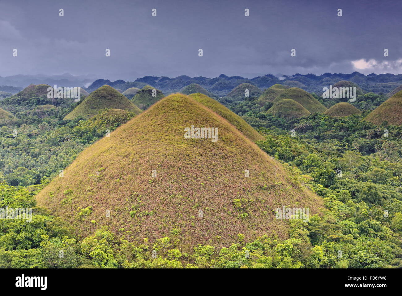 Chocolate Hills formazione geologica-terreno ondulato di colline haycock-conica tumuli di pietra calcarea ricoperto di erba-diventa marrone cioccolato nel dr Foto Stock