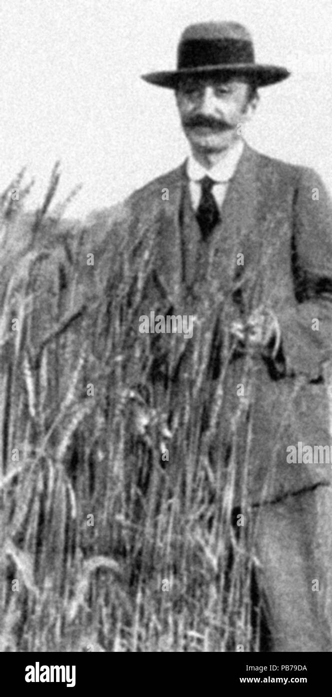 1577 Strampelli-in-un-campo Foto Stock