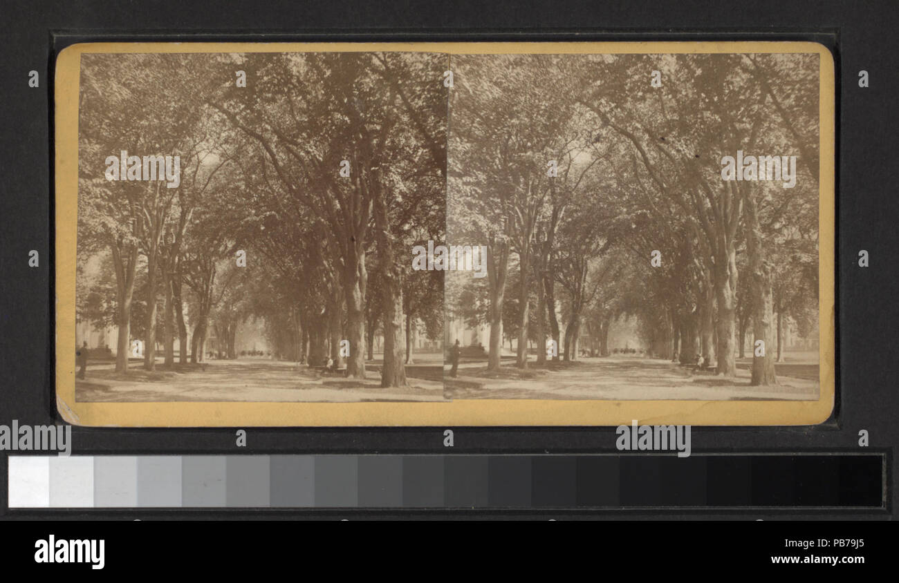 1604 Tempio St (NYPL B11707673-G90F065 003F) Foto Stock