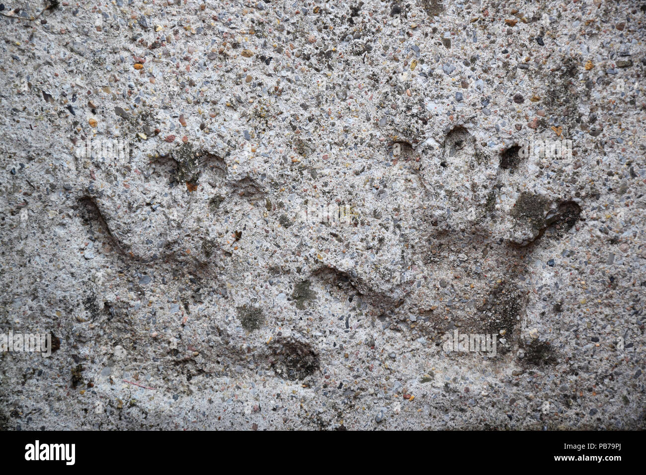 Bambini set handprints nel calcestruzzo Foto Stock