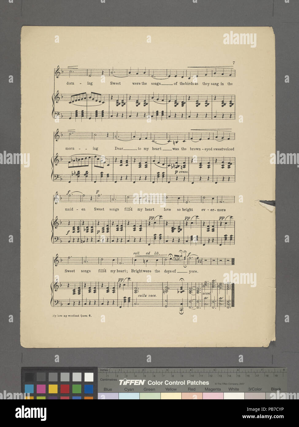 1076 Il mio amore, la mia regina del bosco (NYPL ADE-464244-1710091) Foto Stock