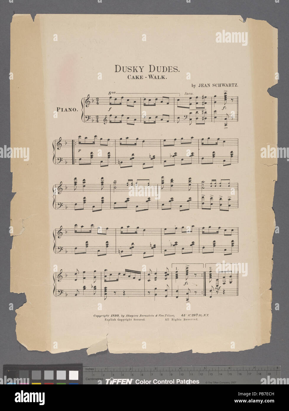 1075 Mio Jersey Lily (NYPL ADE-609101-1942509) Foto Stock