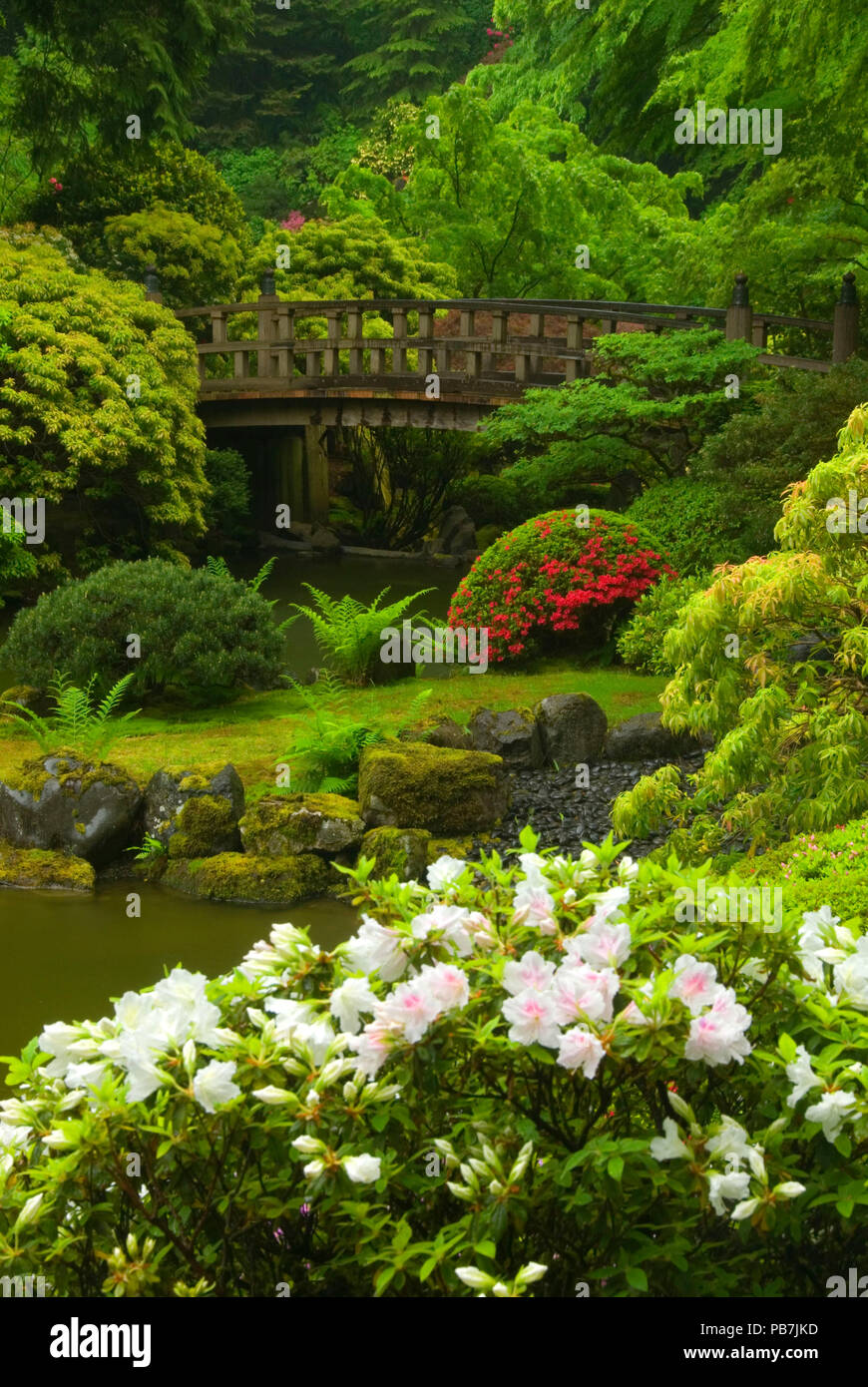 Ponte Giapponese In Legno Per Acquario - Decorazione 15x8x8 Cm Per Acquari Dolce E Marino