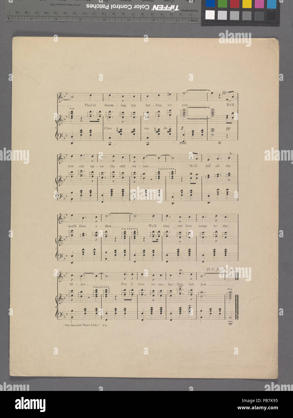 1615 La bellissima water lilies (NYPL ADE-608880-1955924) Foto Stock