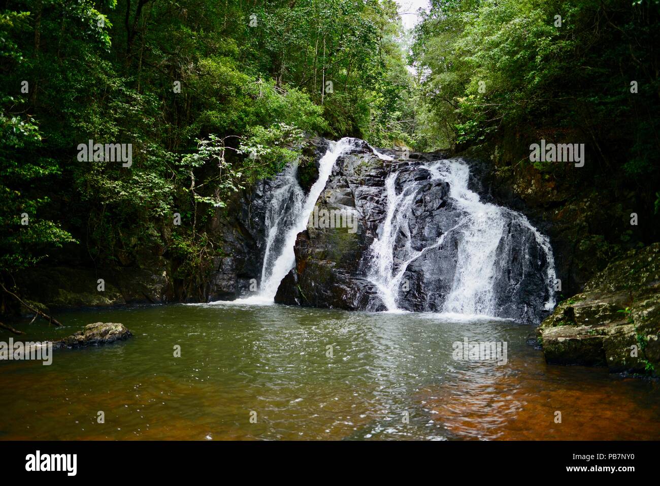 La cena cade, altopiano di Atherton, QLD, Australia Foto Stock