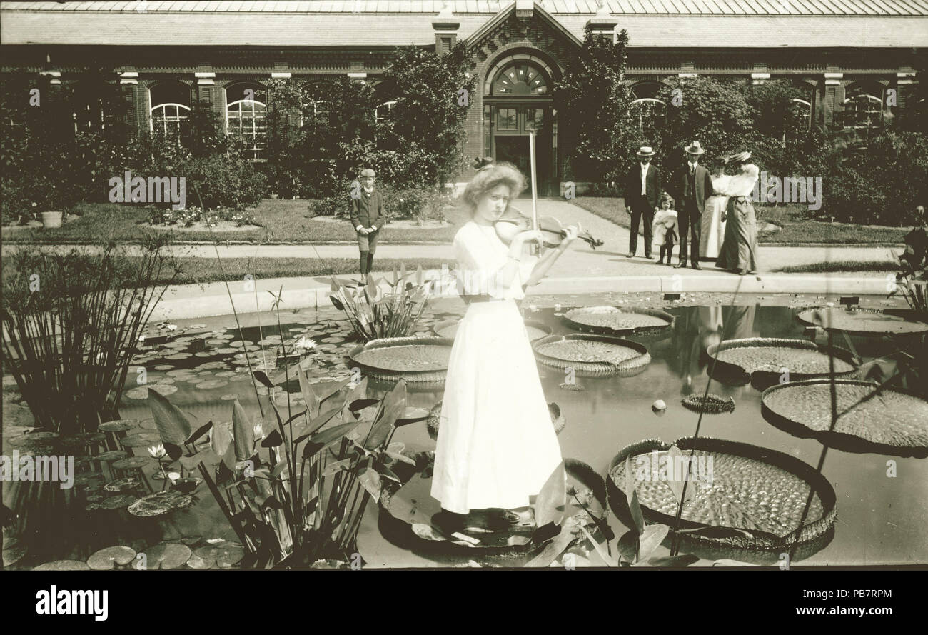 1865 Donna suona il violino, permanente sulla lily pad a Shaw's Garden (del giardino botanico del Missouri), di fronte alla Linnean House Foto Stock