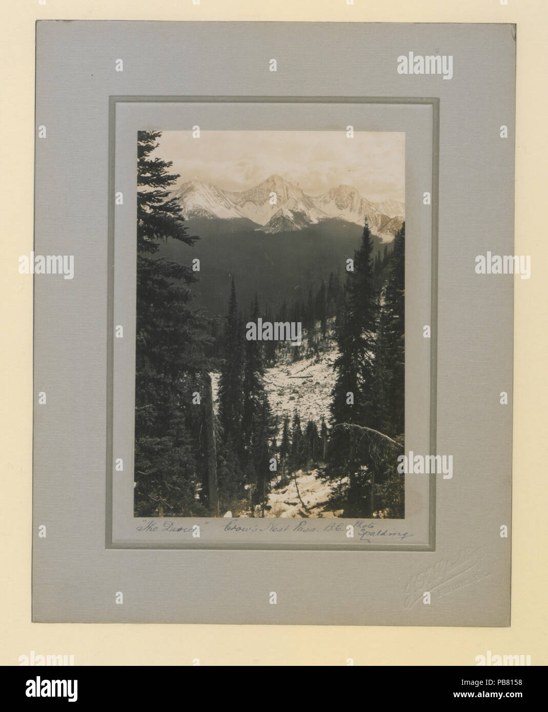 1628 La divisione (HS85-10-20120) originale Foto Stock