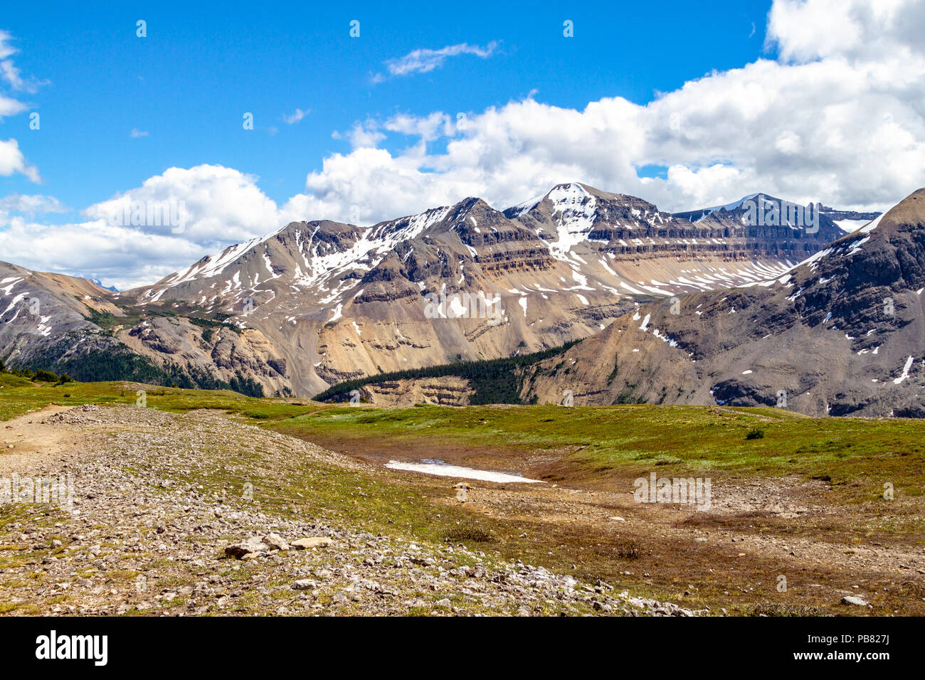 Le Montagne Rocciose Canadesi in corrispondenza della cresta di Parker Ridge escursione sulla Icefields Parkway nel Parco Nazionale di Jasper. La cresta esposta è una terra spazzate dal vento del rock Foto Stock
