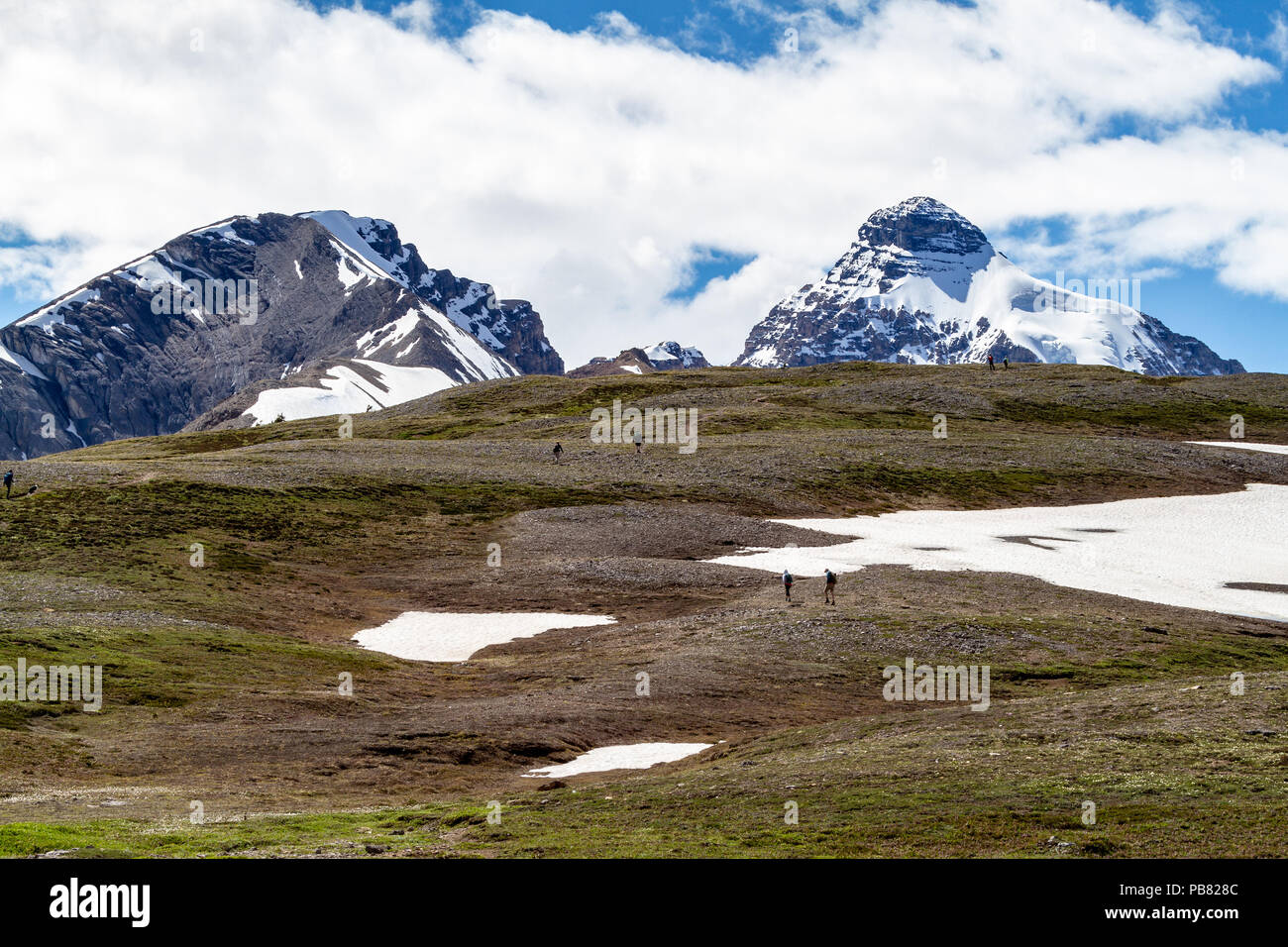 Gli escursionisti in corrispondenza della cresta di Parker Ridge sulla Icefields Parkway nel Parco Nazionale di Jasper con Mount Athabasca e le Montagne Rocciose Canadesi in background. Foto Stock
