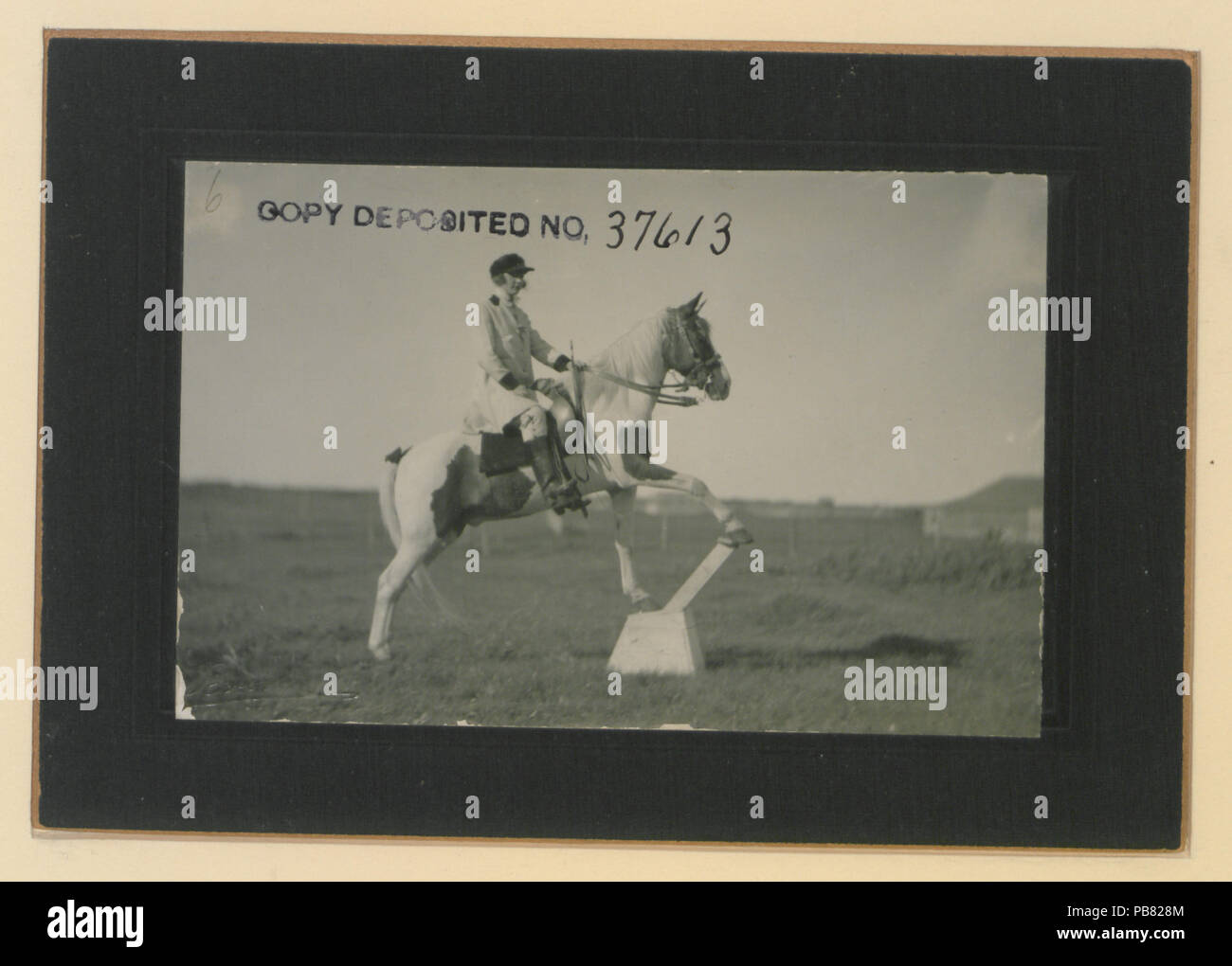 1182 eseguendo gli animali n. C (HS85-10-37613) originale Foto Stock