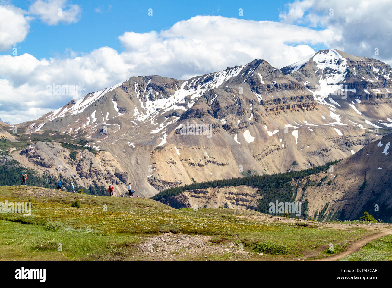 JASPER, Canada - 8 LUG 2018: Escursionisti in corrispondenza della cresta di Parker Ridge sulla Icefields Parkway nel Parco Nazionale di Jasper con le Montagne Rocciose Canadesi Foto Stock
