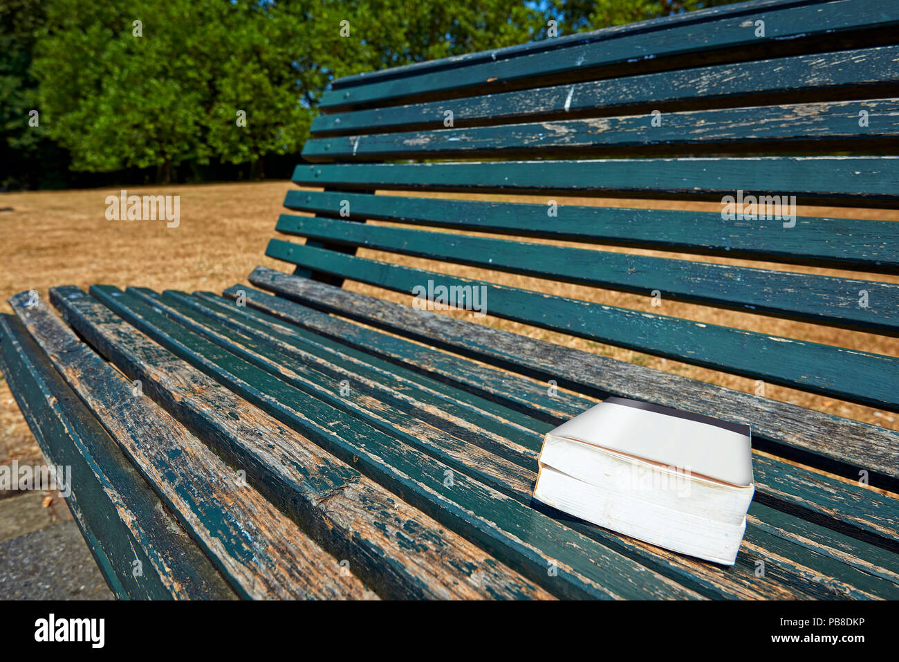 Prenota su una panchina nel parco. Concetto per suggerire un bel libro per le altre persone Foto Stock