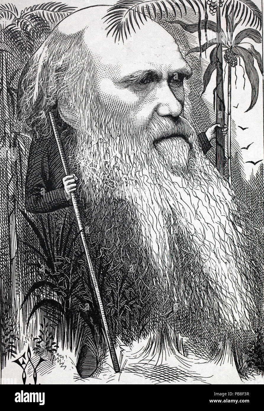 Darwin nei boschi - storico cartoon di Charles Darwin intitolata "selezione naturale" da Federico Waddy dal suo 'Cartoon ritratti e biografie di uomini del giorno" 1873. Foto Stock