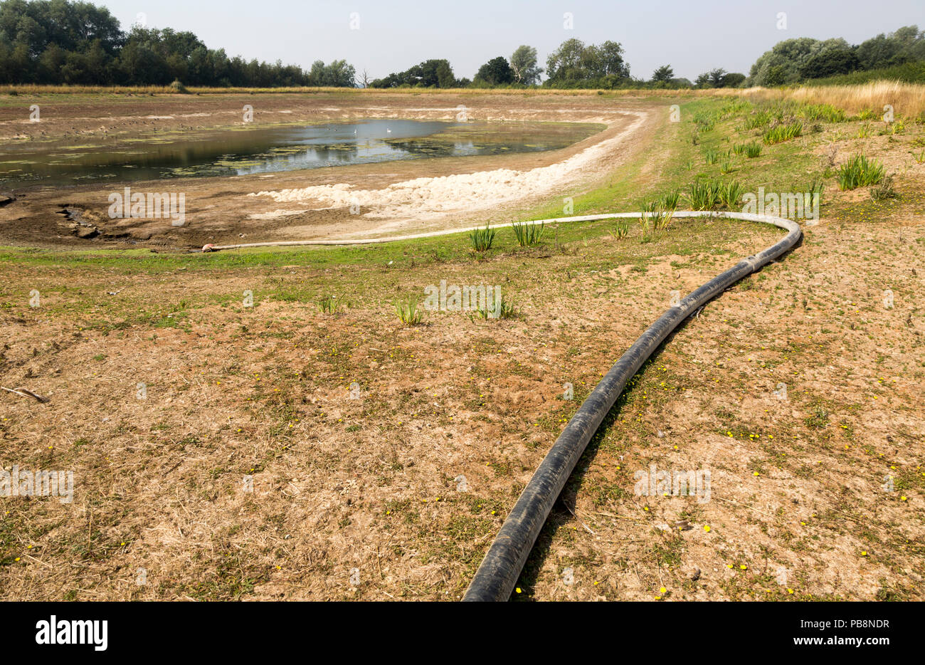 Sutton, Suffolk, Regno Unito. 27 luglio 2018 Basso livello dell'acqua di irrigazione agricola Lago dopo un lungo periodo di siccità estiva, Sutton, Suffolk Inghilterra,UK Credit: geogphotos/Alamy Live News Foto Stock