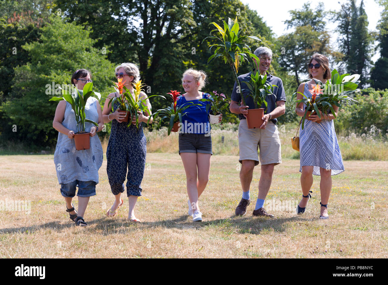 Londra, Regno Unito. Il 27 luglio 2018. Coloro che portano le piante da RHS Hampton Court Palace flower show impianto regime di adozione a Moden Hall Park a Londra oggi. L'impianto innovativo progetto di riciclaggio consente a migliaia di piante provenienti da tutto il mondo più prestigiosa mostra di fiori per essere rehomed, dove i membri del pubblico sono in grado di adottare un impianto. Credito: Vickie Flores/Alamy Live News Foto Stock