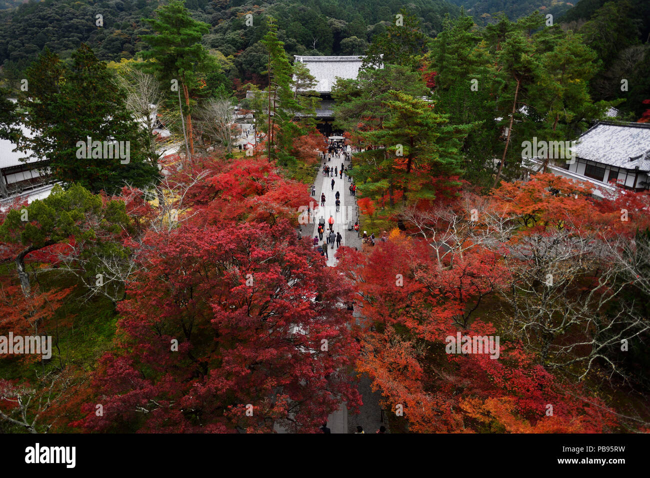 La gente camminare il percorso dal Sanmon gate principale verso la sala Hatto di Nanzen-ji Zen tempio buddista, antenna colorato paesaggio autunnale Sakyo-ku, Foto Stock