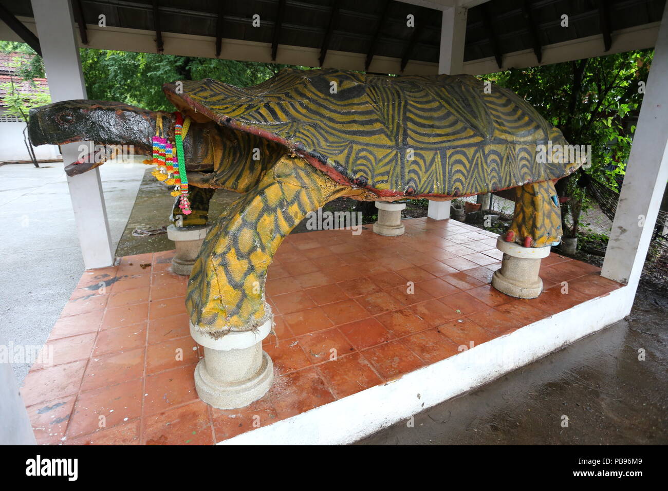 La tartaruga casa nei pressi di Khon Kaen è visitato da coloro che venerano tartarughe e scegliere di rendere merito per una vita lunga e sana. Foto Stock