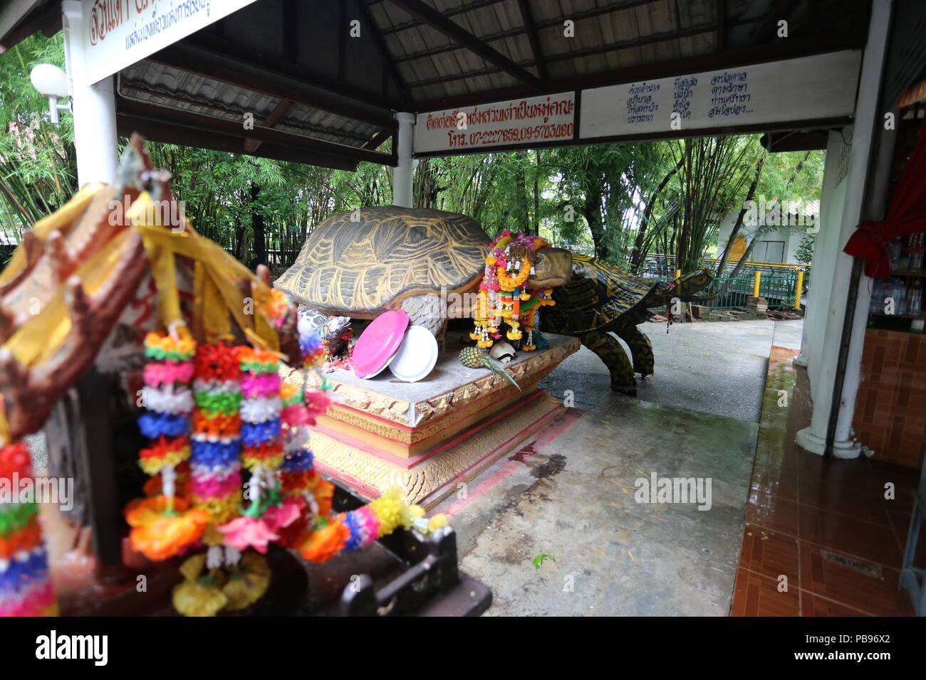 La tartaruga casa nei pressi di Khon Kaen è visitato da coloro che venerano tartarughe e scegliere di rendere merito per una vita lunga e sana. Foto Stock