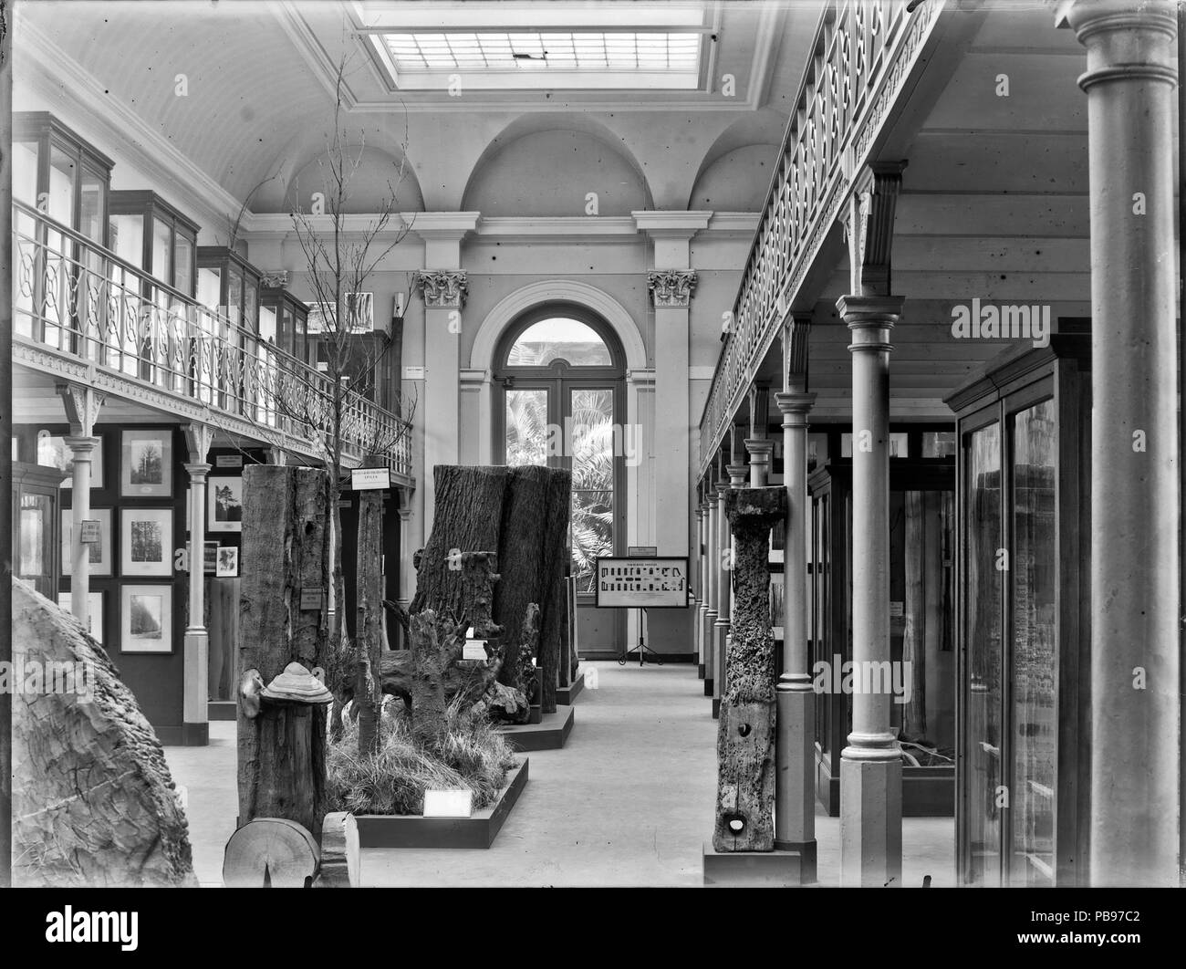 1071 Musee forestier Bruxelles Foto Stock