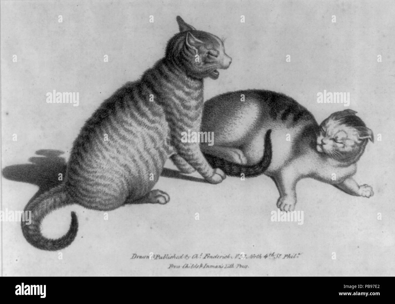 1780 Due gatti LCCN2003653667 Foto Stock