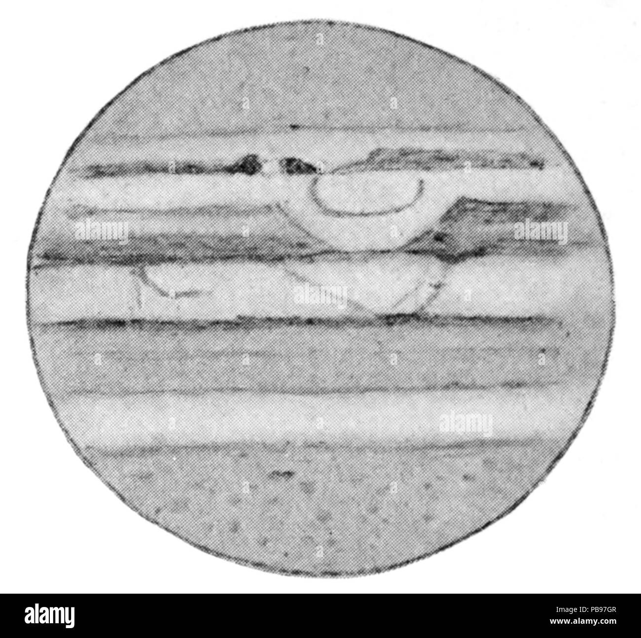 1632 l'evoluzione dei mondi 0200-T Foto Stock