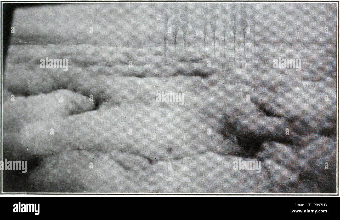 1632 l'evoluzione dei mondi 0221 Foto Stock