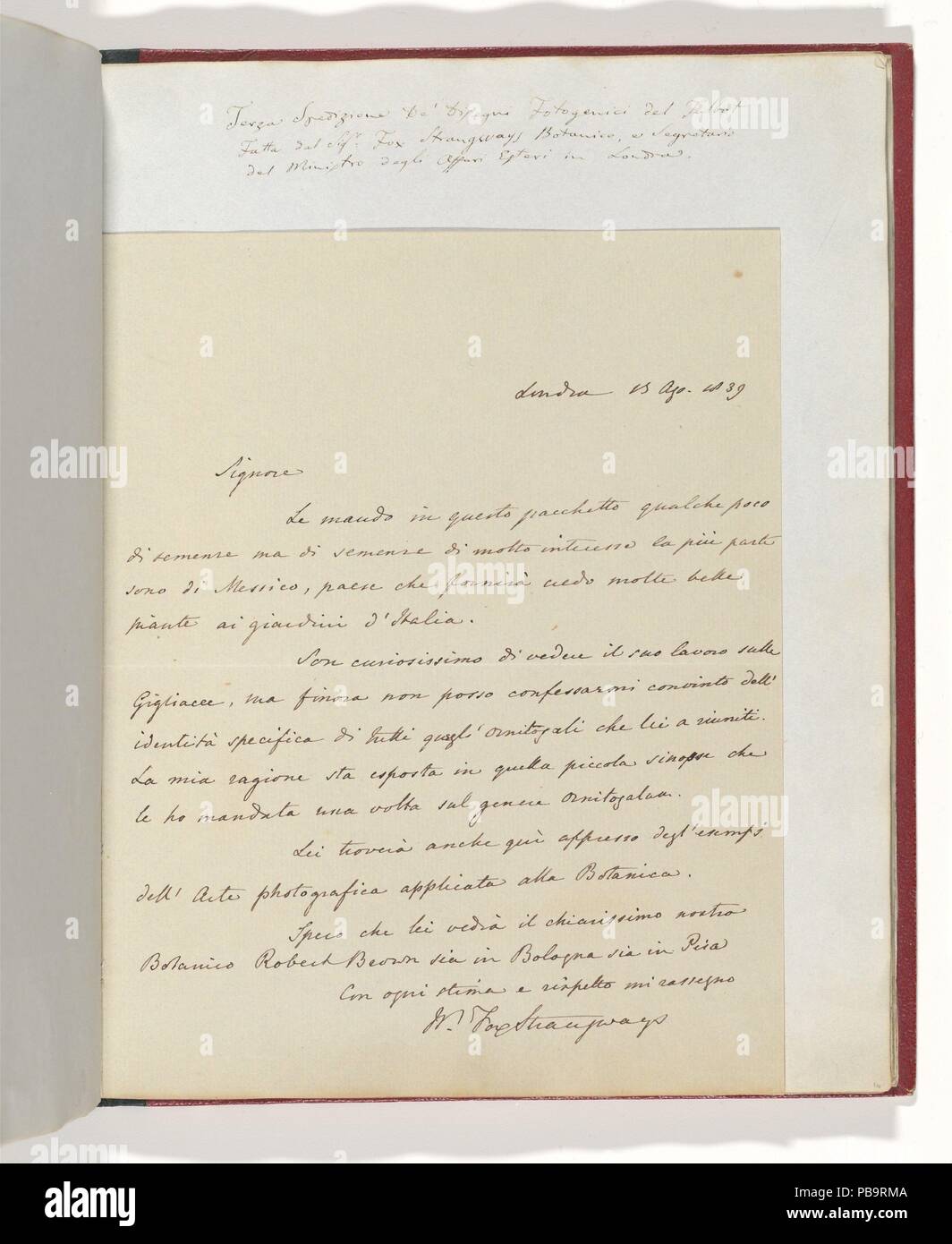 [Lettera manoscritta da William-Fox Strangways ad Antonio Bertoloni]. Autore: William Thomas Horner Fox-Strangways (British, 1795-1865). Corrispondente: Antonio Bertoloni (Italiano, 1775-1869). Dimensioni: foglio: 23,2 x 36,8 cm (9 1/8 x 14 1/2 in.). Data: 1839. Museo: Metropolitan Museum of Art di New York, Stati Uniti d'America. Foto Stock