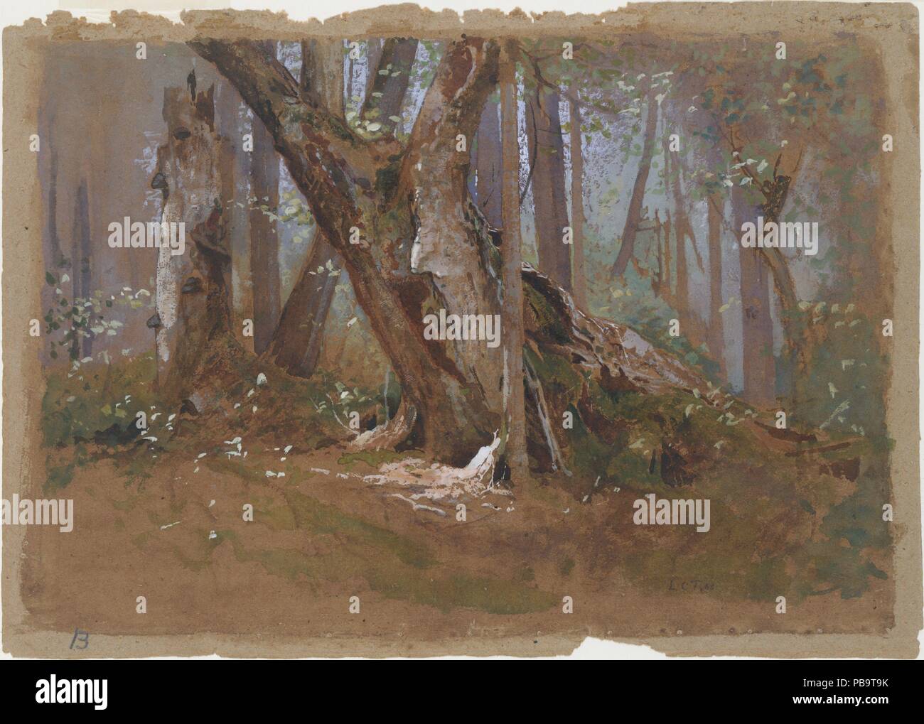 Bosco interno. Artista: Louis Comfort Tiffany (American, New York 1848-1933 New York). Dimensioni: 15 5/8 x 21 15/16 in. (39,7 x 55,7 cm). Data: 1866 o 1868. È testimonianza di Tiffany's chief eredità come un arredatore e un master di vetro macchiato che il Museo possiede oltre quattrocento dei suoi disegni di progettazione. Tuttavia, prima e durante la sua carriera nelle arti decorative che egli era un pittore di notevole reputazione che, prima dell'acquisizione di questo suggestivo acquerello, era rappresentata da un unico olio nella collezione. Dipinto subito dopo la fondazione della American Watercol Foto Stock