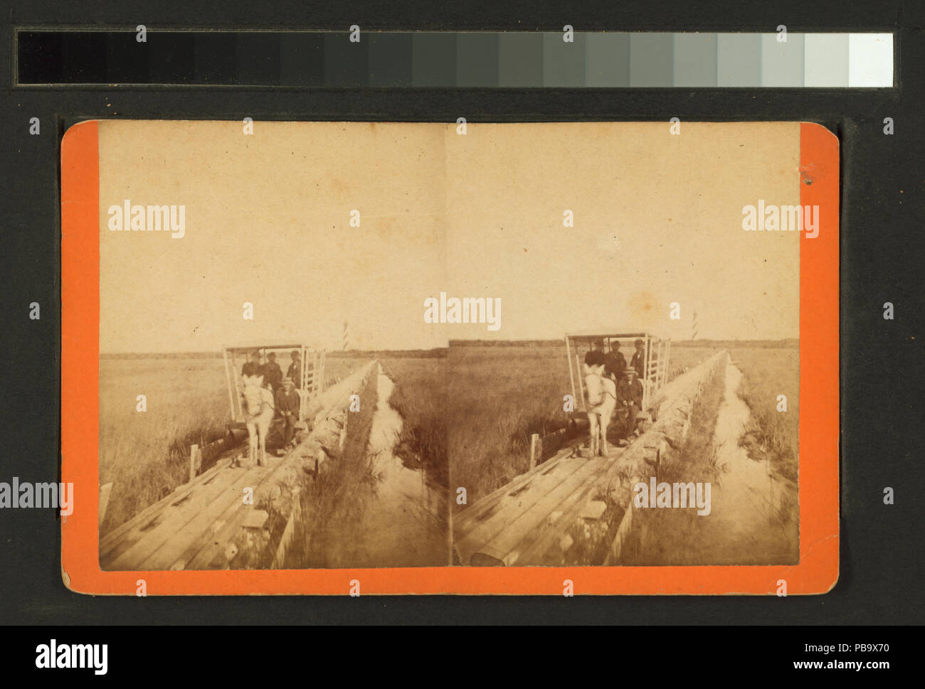 768 cavallo R.R. da shore a sant'Agostino faro attraverso la palude (NYPL B11707419-G90F142 005ZF) Foto Stock