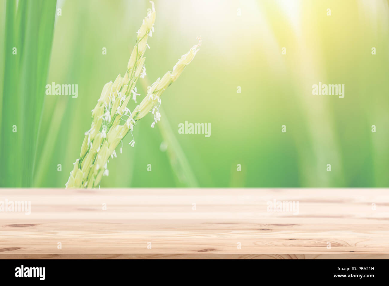 Campo di riso con un tavolo di legno in primo piano verde per alimenti puliti background design naturale Foto Stock