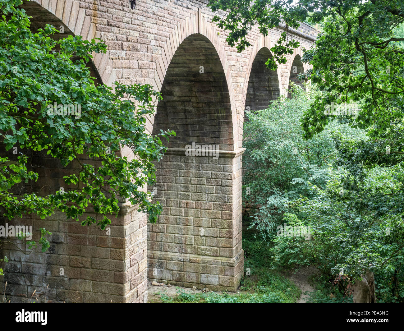 Viadotto ferroviario sulla parte in disuso del vecchio Leeds e Thirsk ferrovia nella valle Crimple Harrogate North Yorkshire, Inghilterra Foto Stock