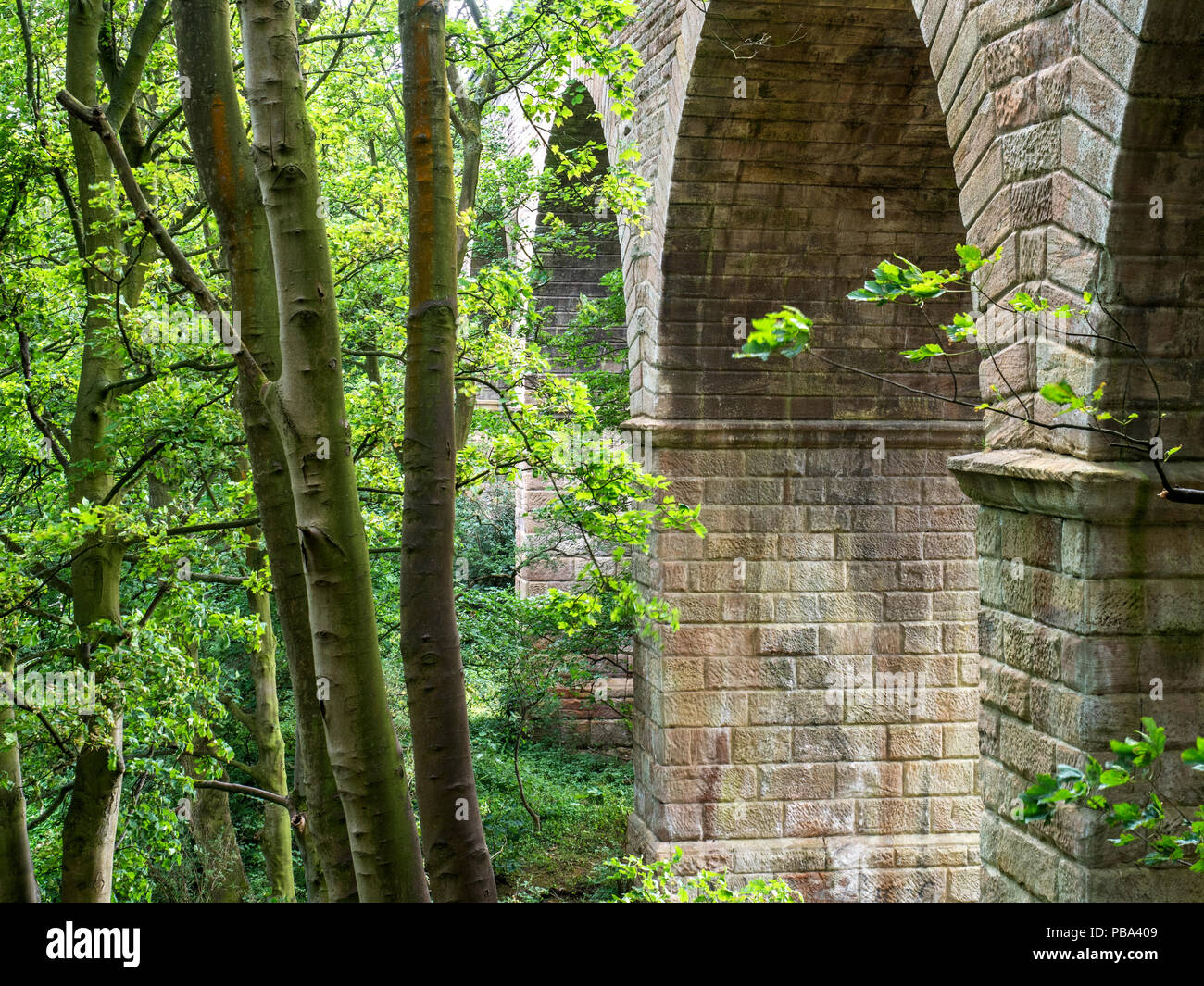 Viadotto ferroviario sulla parte in disuso del vecchio Leeds e Thirsk ferrovia nella valle Crimple Harrogate North Yorkshire, Inghilterra Foto Stock