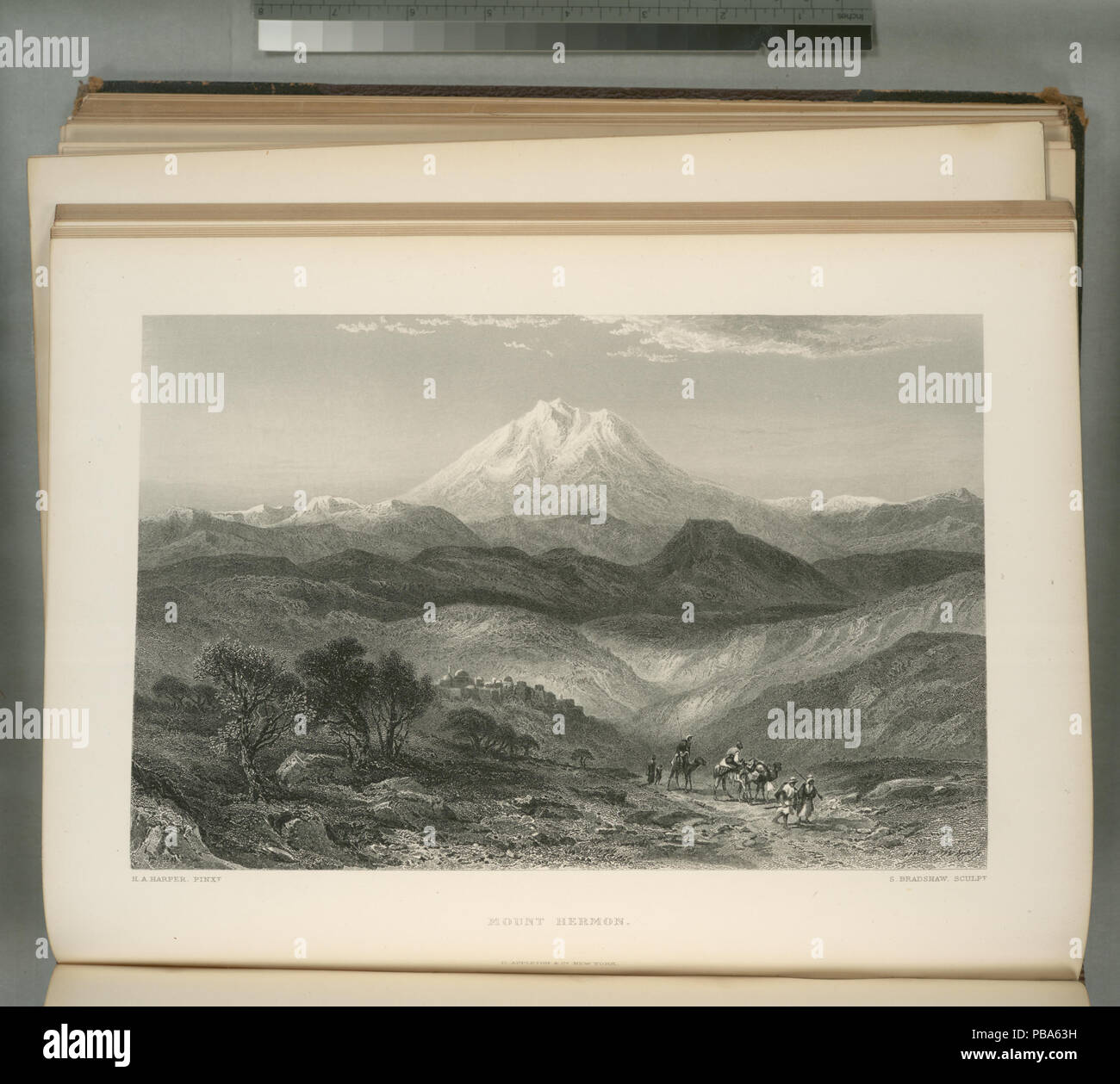 1062 Monte Hermon (NYPL b10607452-80486) Foto Stock