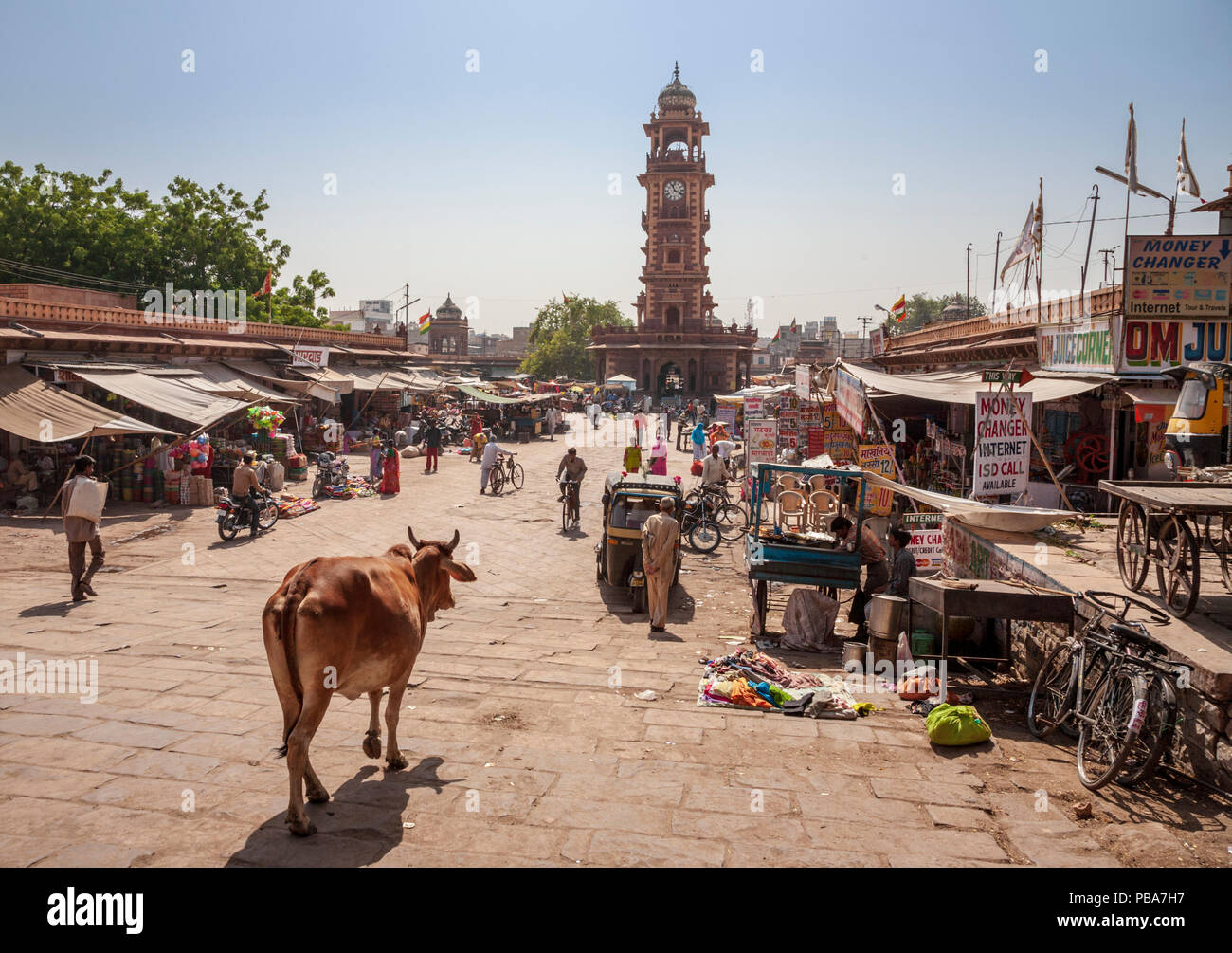 Una vacca sacra al bazar di Sardar con la torre dell'orologio in lontananza, Jodhpur, India Foto Stock