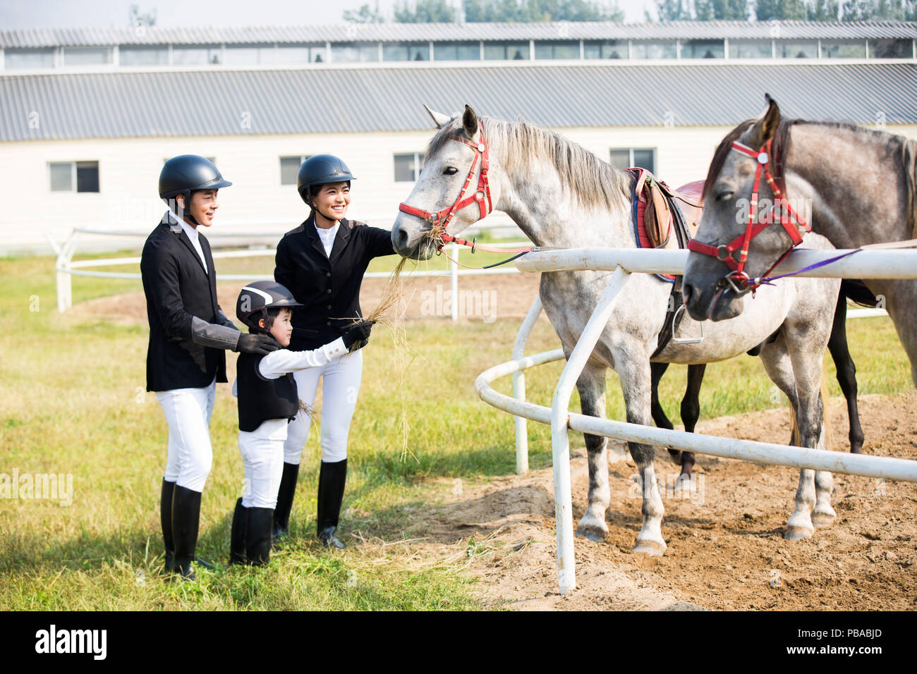 Giovani cinesi famiglia cavallo di alimentazione Foto Stock